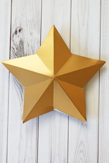 3D Star Decor-007