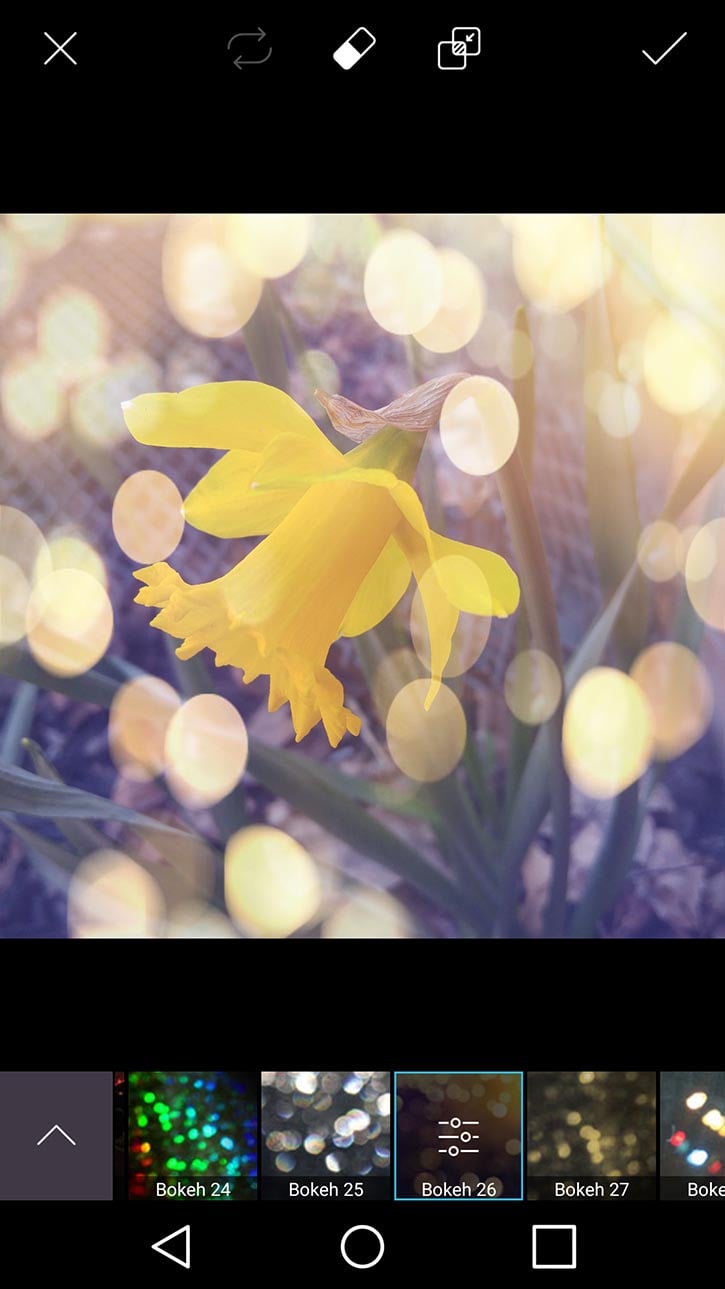3d-photo-daffodil-card-picsart-bokeh26-filter.jpg