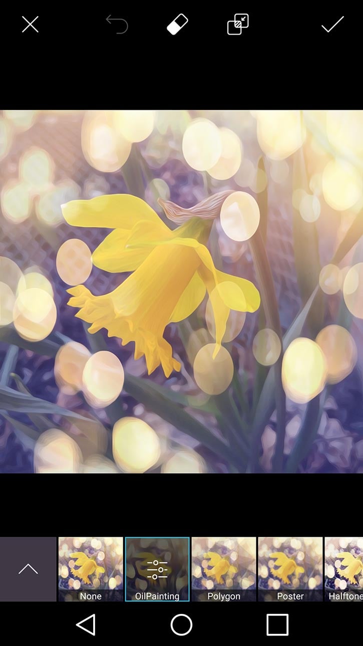 3d-photo-daffodil-card-picsart-oil-painting-option.jpg