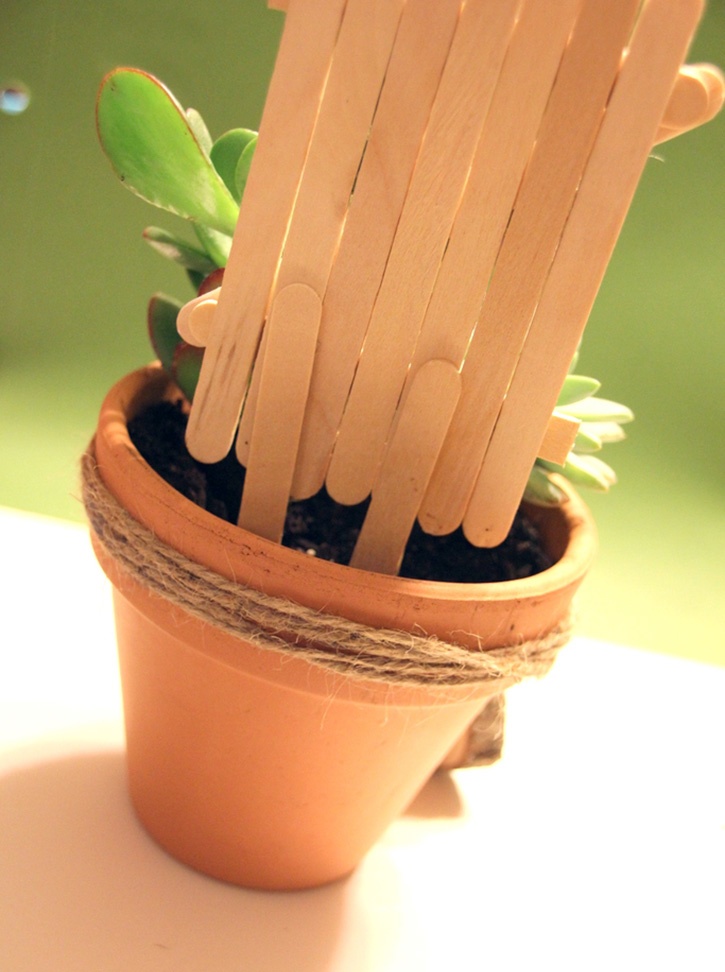 succulent-gift-idea-extra-popcicle-sticks-anchor.jpg