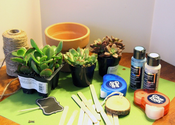 succulent-gift-idea-supplies.jpg