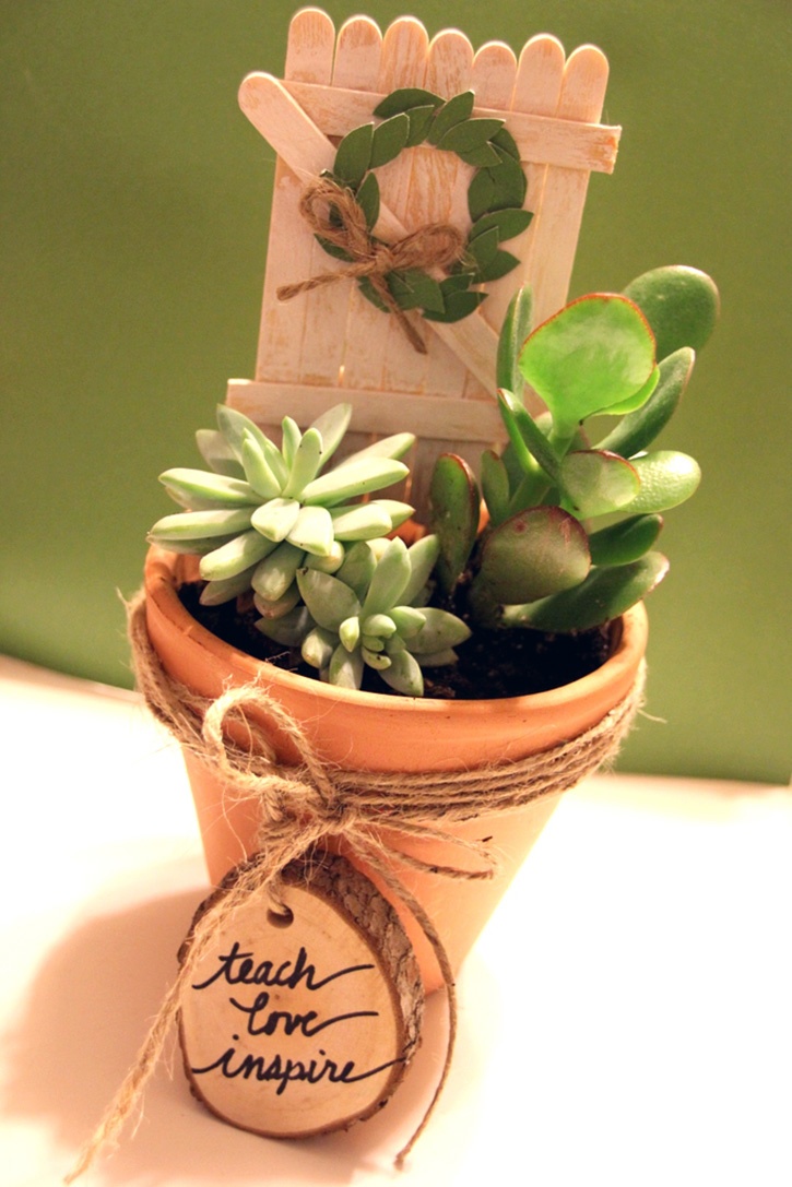 Succulent Garden Gift Idea