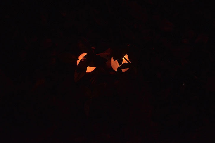 glue-dots-halloween-spooky-eyes-by-janet-trieschman.jpg