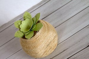 Upcycled Succulent Container-005